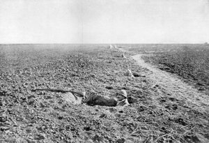 A line of French infantry foxholes, 1918