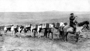 A Mail Caravan Crossing the Icelandic Plains, Iceland by Unbekannt