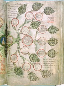 A Page from Liber Floridus