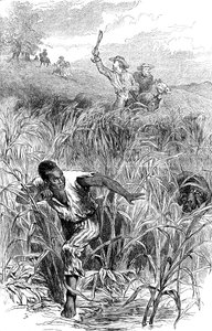 A Slave Hunt, USA
