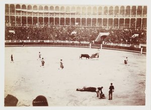 Bullfight in Las Ventas del Espiritu Santo bullring, Madrid, c 1930 by Unbekannt