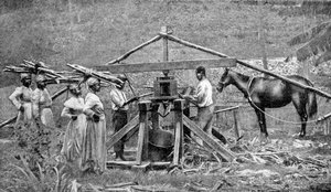 A wooden, horse-powered sugar cane crushing mill, West Indies, 1922 by Unbekannt