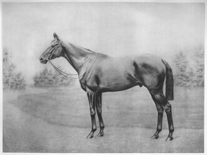 Admiral Togo III