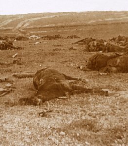After the charge, Beauséjour, northern France, c1914-c1918