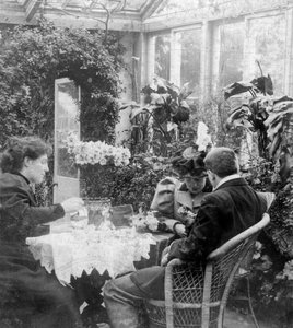 Afternoon tea