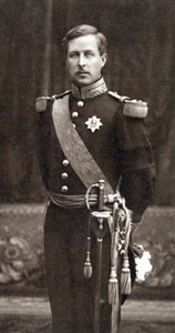 Albert I, King of the Belgians, in military uniform by Unbekannt