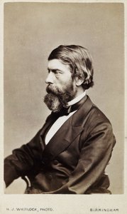 Alexander William Williamson, Scottish chemist, c 1865 by Unbekannt