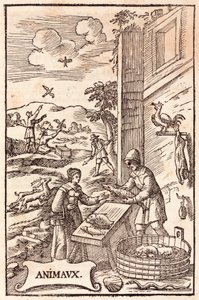 Animal Feeding: Woman Buying Fish from a Fishmonger, Men Releasing Birds from Cages and Hunting Scene by Unbekannt