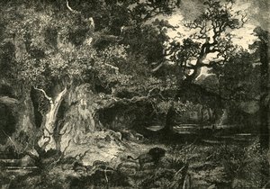 An Old German Forest, 1890 by Unbekannt