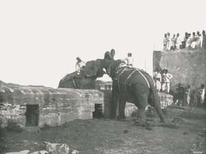 An elephant fight, Hyderabad, India, 1895