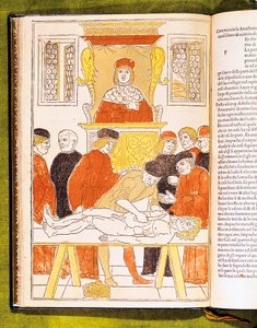 Anatomy Lecture at Padua, Italy by Unbekannt