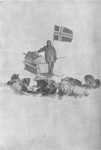 At the South Pole by Unbekannt