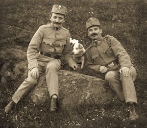Austrian soldiers with a dog by Unbekannt
