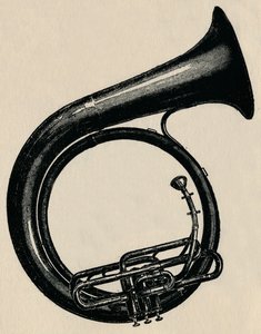 BB Circular Bass