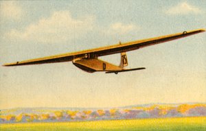 BSV Luftikus glider
