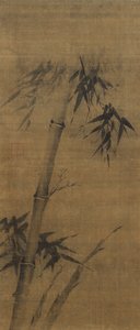 Bamboo