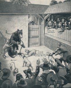 Bear-Baiting in a Stuart Bear Pit