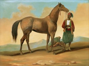 Bedouin with Arabian Horse