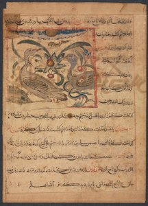 Benefits of the Parts of Vultures...verso by Unbekannt