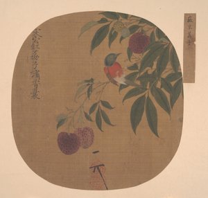 Bird on a Lychee Branch by Unbekannt