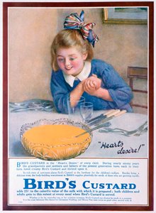 Birds Custard Advert by Unbekannt