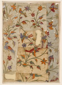 Birds and Flowers