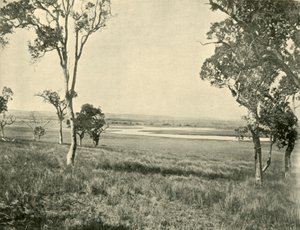 Black Swan Lagoon, near Warwick, Queensland by Unbekannt