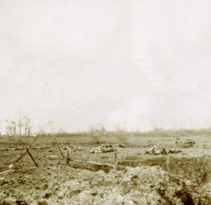 Bodies After Attack