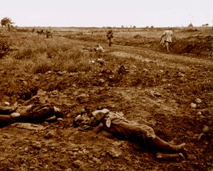 Bodies of German Soldiers
