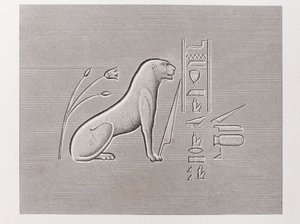 Book: Description of Egypt by Unbekannt