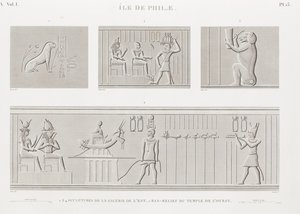 Book: Description of Egypt by Unbekannt