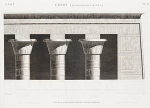 Book: Description of Egypt by Unbekannt