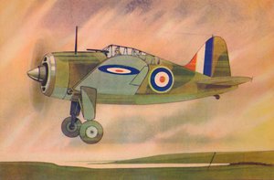 Brewster Buffalo Fighter Monoplane