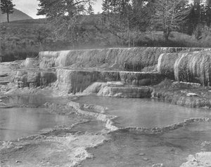 Brown Sulphur Springs, Yellowstone National Park, USA, c1900