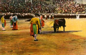 Bull fight by Unbekannt