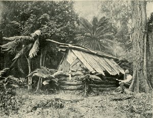 Bush Hut, Dandenong Ranges, Victoria, 1901