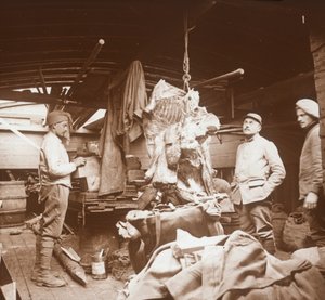 Butchers on a Barge, Somme, Northern France, c1914-c1918 by Unbekannt