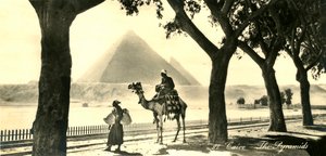 Cairo - The Pyramids, c1918-c1939 by Unbekannt