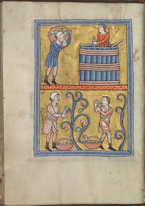 Calendar, September, men picking and treading grapes - Psalter of Eleanor of Aquitaine (ca. 1185) - KB 76 F 13, folium 009v by Unbekannt