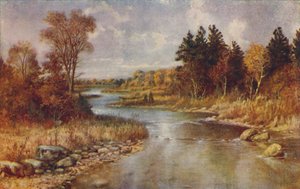 Canadian Forest Scene, 1924
