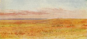 Canadian Prairie