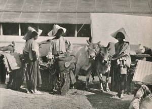 Caravan Scene with Shans at Bhamo
