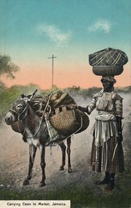 Carrying Coals to Market, Jamaica by Unbekannt