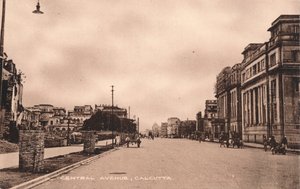 Central Avenue, Calcutta, c1900 by Unbekannt