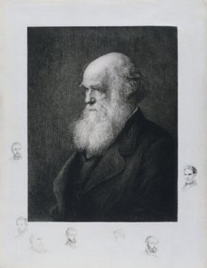 Charles Darwin, English naturalist, c. 1860s by Unbekannt