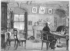 Charles Darwin, English Naturalist, in His Study, c. 1870-1887 by Unbekannt