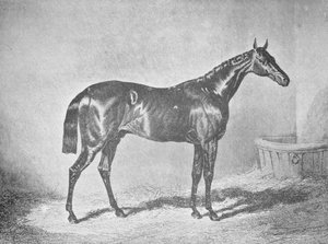 Charles XII, Winner of the St. Leger 1839 by Unbekannt