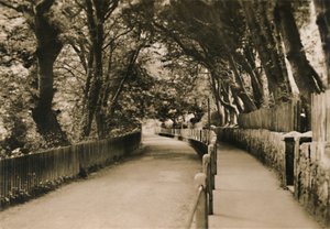 Chine Avenue, Shanklin, I.W. by Unbekannt
