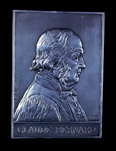 Claude Bernard, French Physiologist by Unbekannt