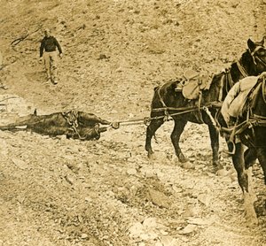 Clearing the battlefield, c1914-c1918 by Unbekannt